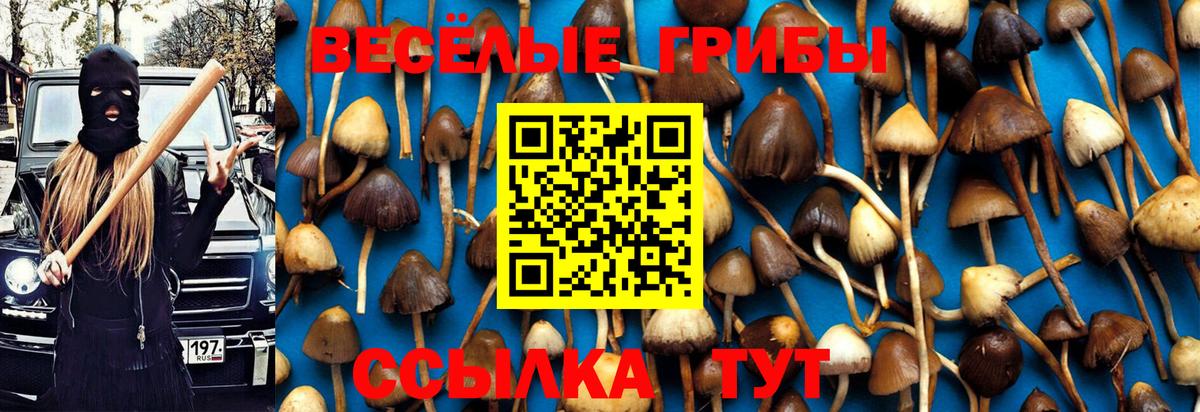 Галлюциногенные грибы прущие грибы Тавда