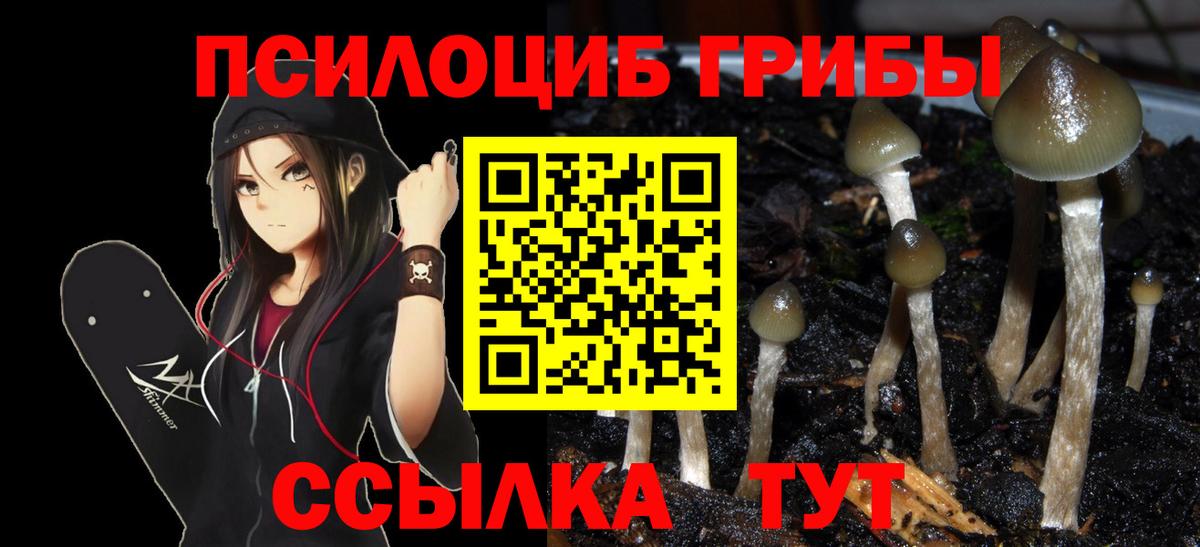 Галлюциногенные грибы ЛСД  Вход с VPN  Тавда 
